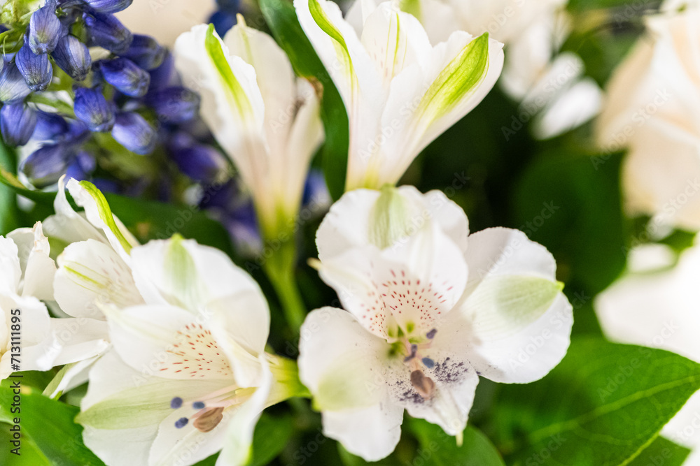 Obraz premium Elegant White Rose Bouquet Adorns a Beautiful Vase