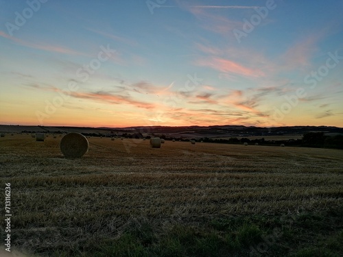 sunset over the field