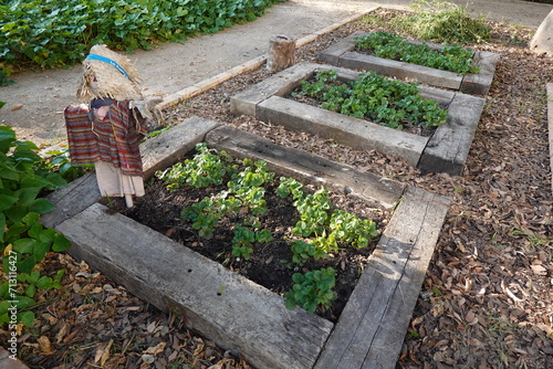 beds with railway sleepers to grow strawberries with bird scarecrow photo