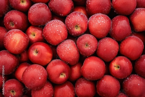 red granny apples in the snow. Winter fruit season background.