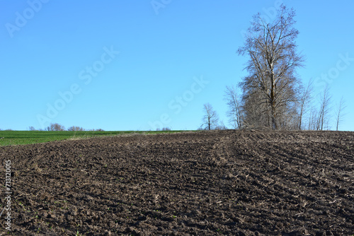 plowed agricultural field with bare tree and blue sky copy space 