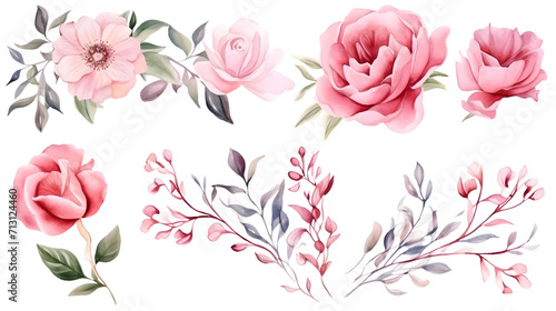 Watercolor arrangements with roses garden