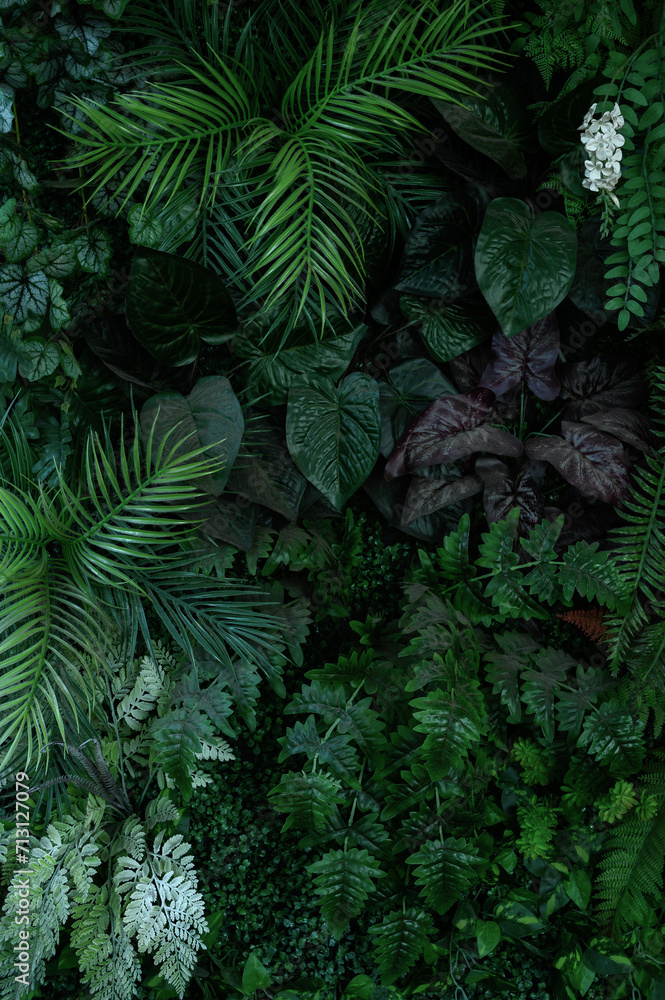 Fototapeta premium abstract green leaf texture, tropical leaf foliage nature dark green background