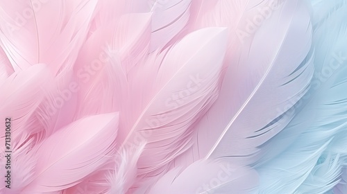 Beautiful and soft pastel color feather background delicate and elegant