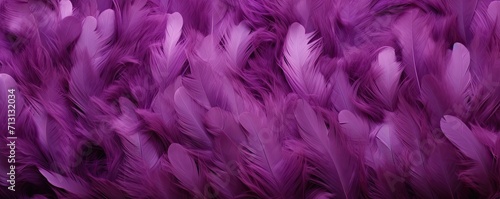 purple feather texture of different tones ,large background