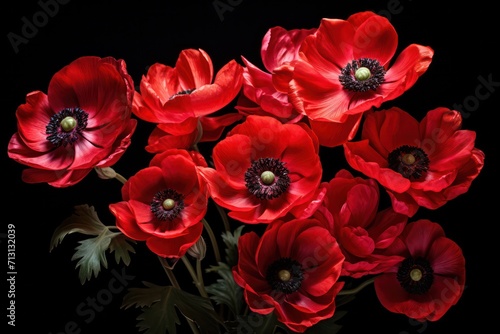 red anemones isolated on black background. Beauty, valentines day, romantic banner. © Dina