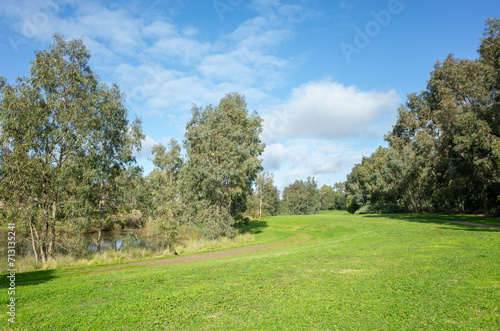 Background texture of a campground or a public park with large and green grass lawn  footpath  trees and a water pond. Australian nature landscape in a local park in the suburb. Copy space