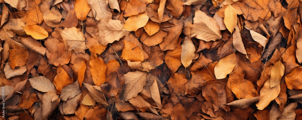Dry leaves and twigs are scattered around on the ground, large scale, top view, detailed texture.