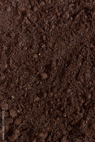 Texture of fresh fertile soil, vertical photo, top view. Gardening and farming concept as background. Natural ground 
