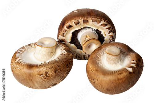 The mushroom is isolated on a transparent background. Mushroom PNG Generative AI