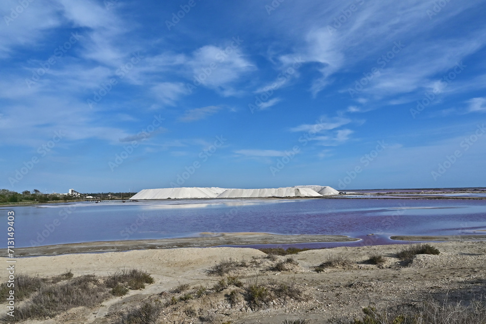 Saline, Paludi, canali e laghi con fenicotteri e cigni della Camargue, Arles - Provenza, Francia Saline, Paludi, canali e laghi con fenicotteri e cigni della Camargue, Arles - Provenza, Francia