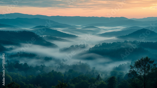 Misty Morning Over Forested Valley © Suplim