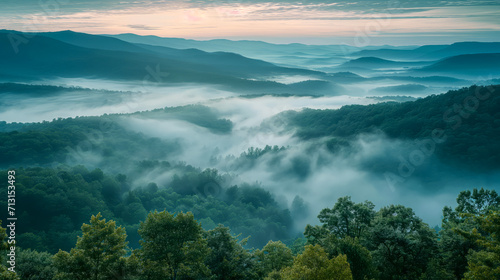 Misty Morning Over Forested Valley © Suplim