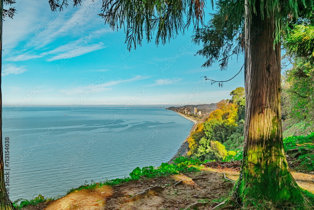 Fototapeta premium Sea_4