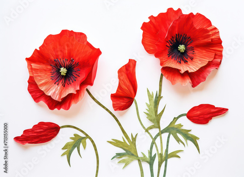 Red Poppy Flowers in Wild Beauty: A Fragile Floral Blossom on Green Background
