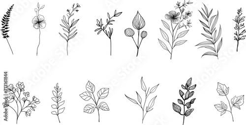 set of flowers hands drawn . Botanical collection. 