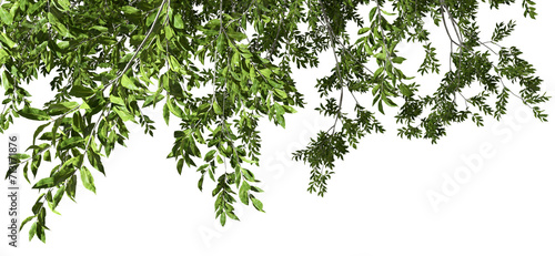 Greenery leaves branch relaxing flow cutout transparent backgrounds 3d rendering png