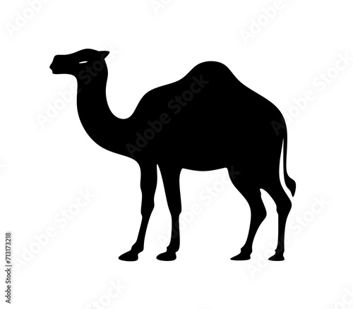 vector illustration of camel with flat design.camel icon