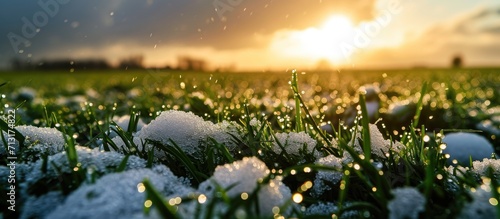 Macro photo of large hailstones in a meadow. Copy space image. Place for adding text photo