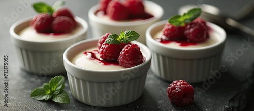 Chocolate pots de creme dessert in ramekins with raspberries. Copy space image. Place for adding text photo