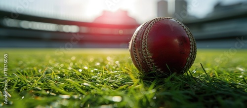 Shiny new cricket ball on grass in front of grand stand. Copy space image. Place for adding text photo