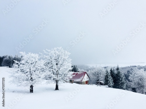 Lonely cabin in the mountains surrounded by forest covered in snow © Madeleine