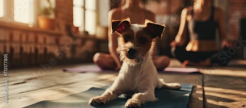 woman holding dog in yoga class. Copy space image. Place for adding text photo