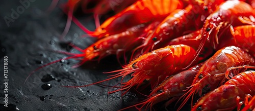 A group of Super Red cherry shrimp. Copy space image. Place for adding text