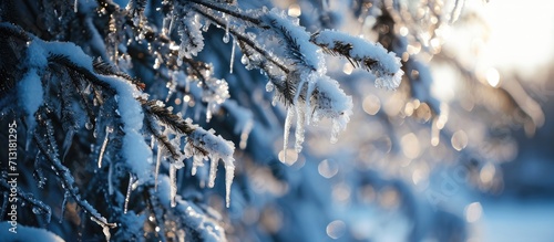 Frosted tree branches covered with ice and icicles on snowy background. Copy space image. Place for adding text