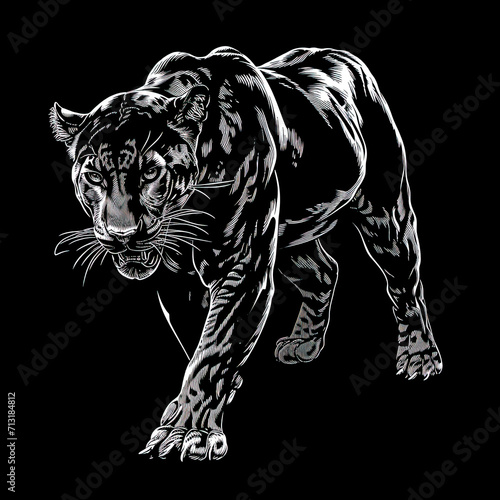 Panther. An artistic, schematic black-and-white portrait of a panther. Illustration for banners and albums. covers, books © Irina