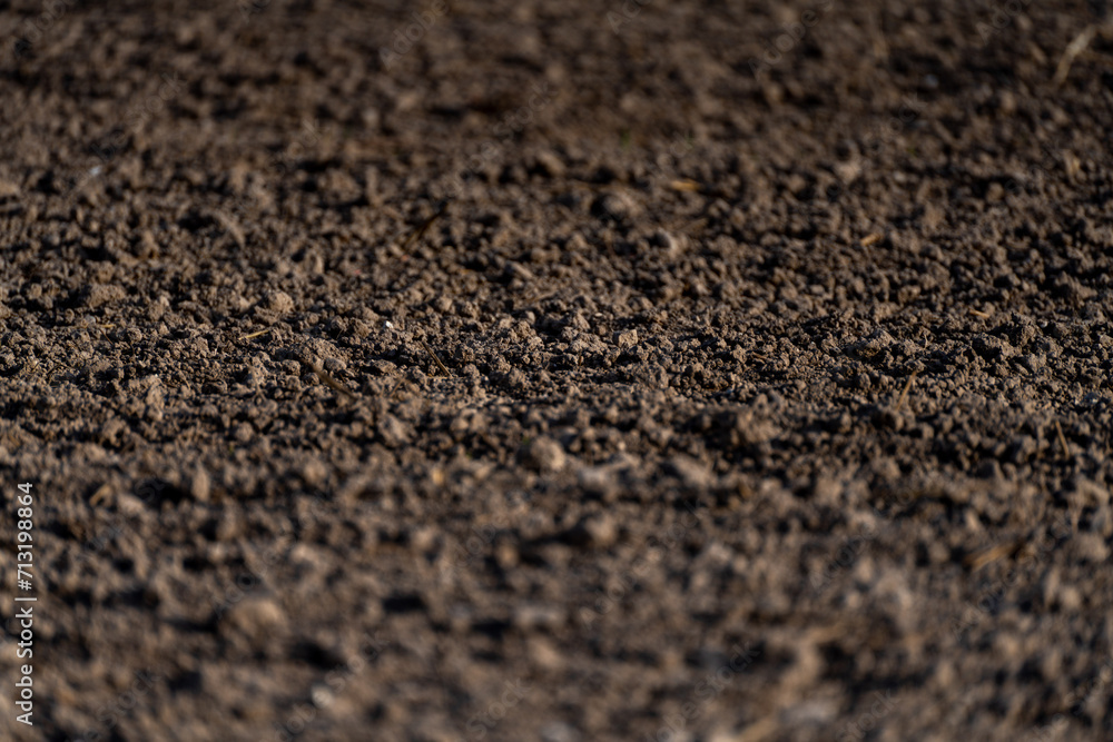 Soil texture background. Fertile soil suitable for planting. Plowed agricultural field, dry land close up.