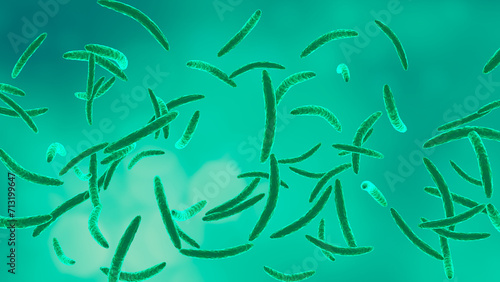 Fusarium solani is a filamentous fungus common in soil and colonizing plant materials