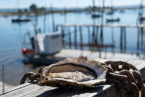 Eating of fresh live oysters with citron at farm cafe in oyster-farming village, with view on boats and water of Arcachon bay, Cap Ferret peninsula, Bordeaux, France photo