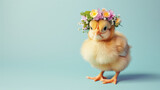 Easter chicken with a meadow flower crown, featuring a chic adorned with a flower headband on a blue background. Easter holiday concept with a cute chicken and floral nest banner with copy space.