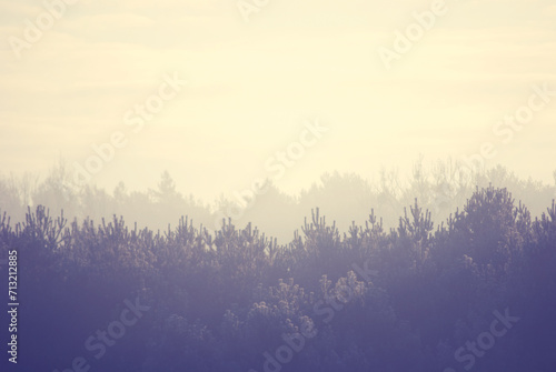 mist over the mountains © sinjith