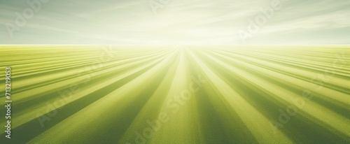 green soccer field with sun shining through on yellow grass