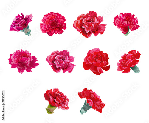 Set of red carnation’s flowers heads in watercolor style on white background. Close-up, panoramic view. Collection for Mother's Day, Victory Day. Digital draw, realistic vintage illustration, vector © analgin12
