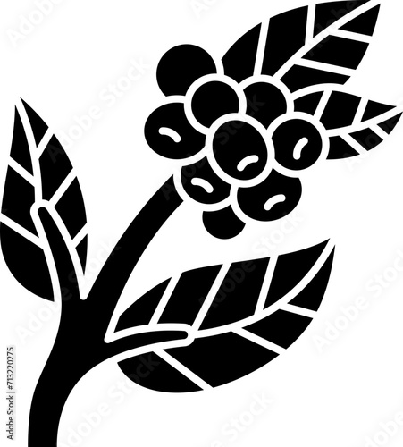 coffee  icon