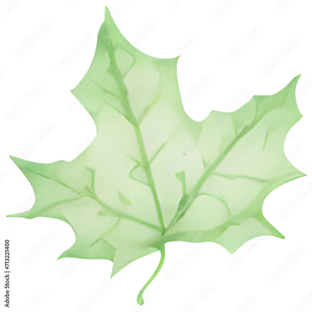 Naklejka premium green leaf