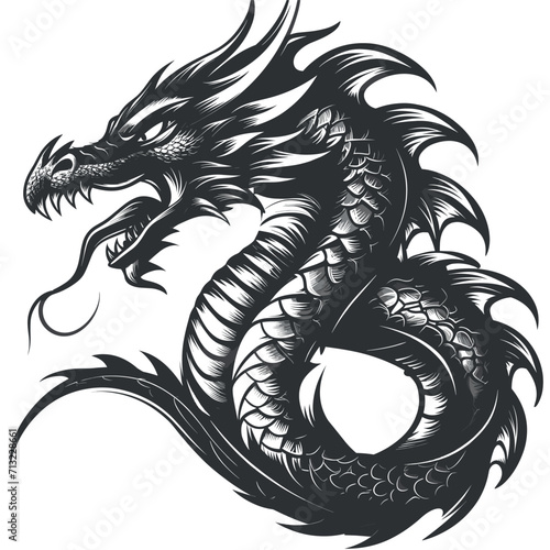 a black and white illustration of a dragon in full body