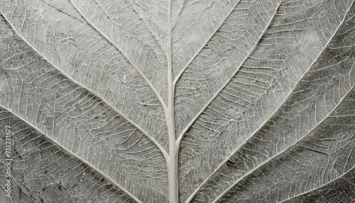 Tapeta, tło - beton z motywem liści. Panel ścienny, tapeta, dekoracja. Generative AI