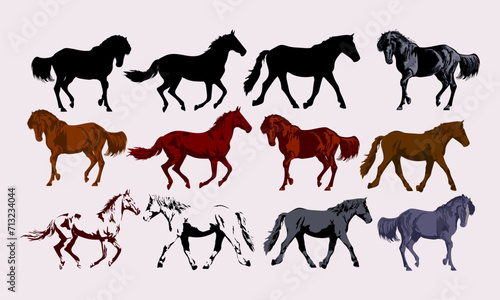 Set of standing horse silhouette animal collection vector illustration. Isolated on white background.