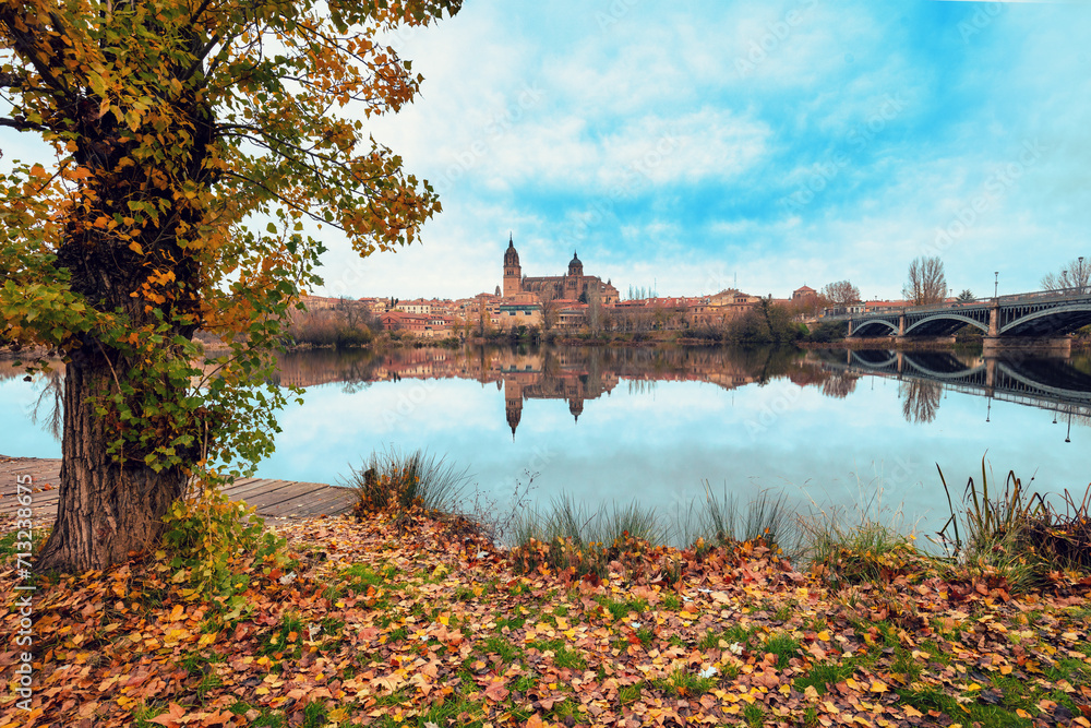 View of Cathedral of the Assumption of the Virgin Mary, Salamanca city, Spain, Europe