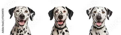 Set of closeup portraits of a cheerful and humorous Dalmatian dog, Isolated on Transparent Background, PNG © Only Best PNG's