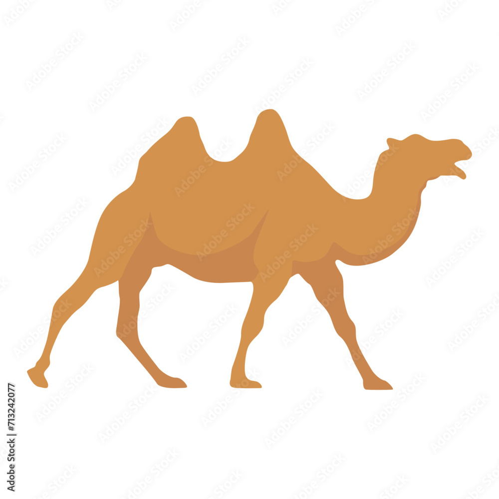 Flat camel illustration. Various camels with one hump illustration. Desert caravan Arabian dromedary with seat isolated on white background. Arabian animal vector illustration Flat camel illustration. Various camels with one hump illustration. Desert caravan Arabian dromedary with seat isolated on white background. Arabian animal vector illustration