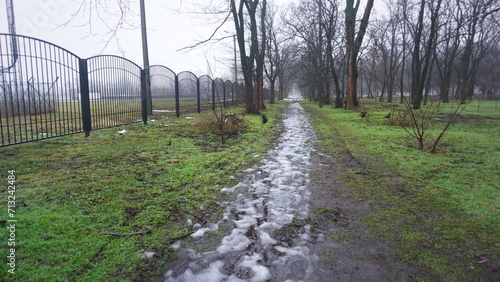 Road through the park  winter