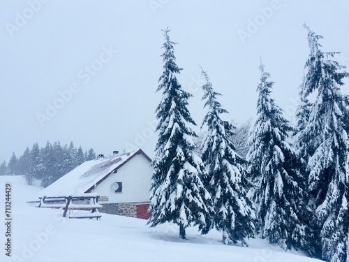 Lonely house in the mountains surrounded by coniferous trees covered in snow
