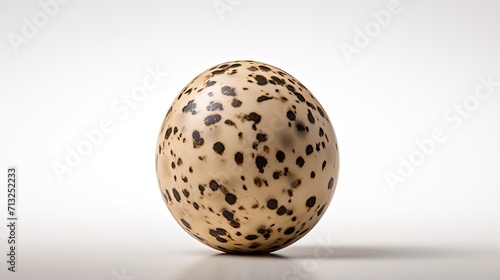 Professional food photography of Quail egg