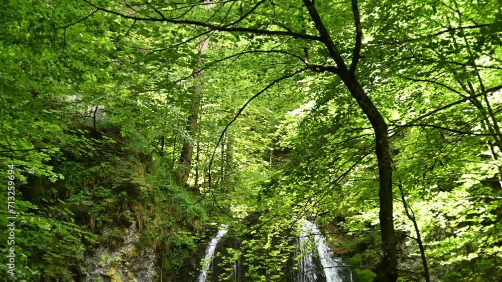 A forest with the top of a waterfall (slow motion) A forest with the top of a waterfall (slow motion)