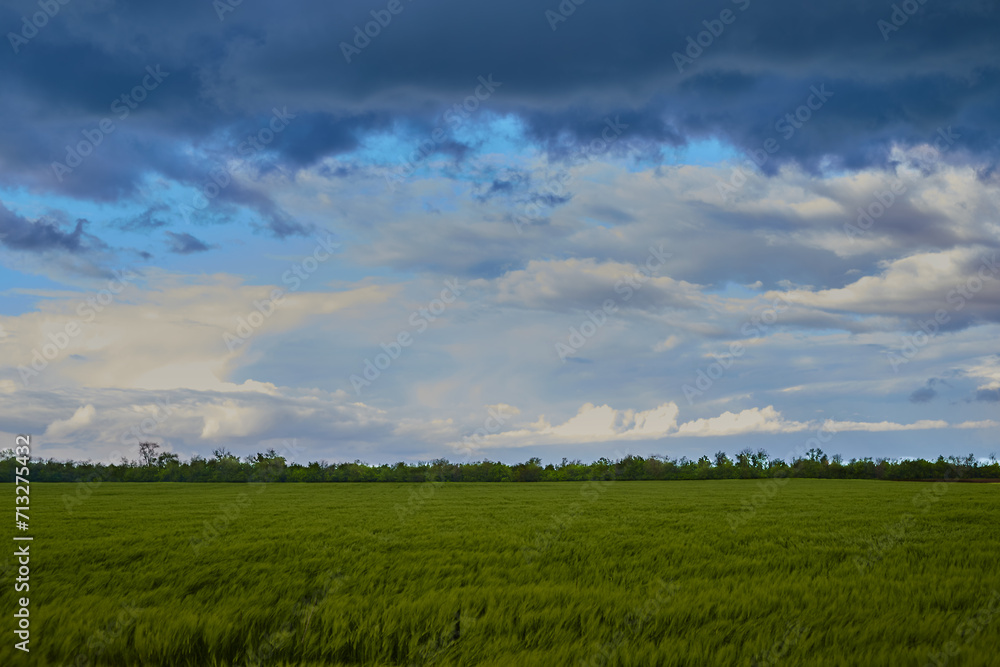 Colorful sky with ragged clouds over green field